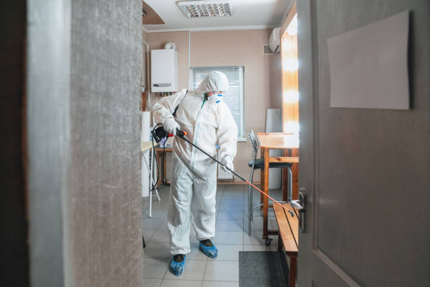 Best Commercial Mold Inspection  in Owensville, IN